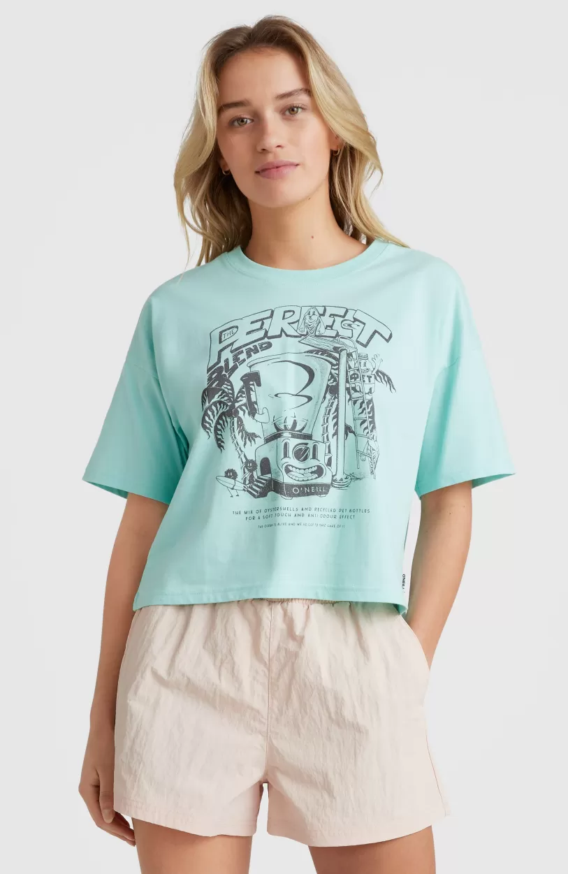 Online O’Neill Stream T-shirt | Beach Glass