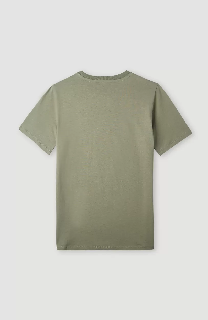 Hot O’Neill Surf State T-shirt | Deep Lichen Green