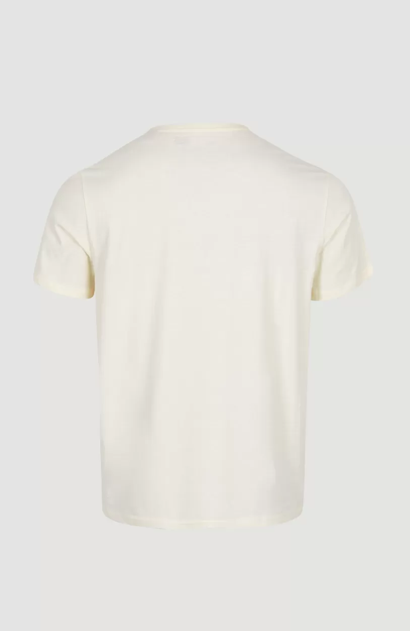 Shop O’Neill Surf State T-shirt | Snow White