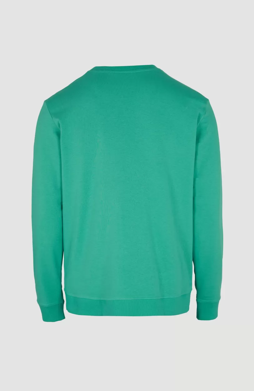 Fashion O’Neill Sweater Cali Original Crew | Sea Green