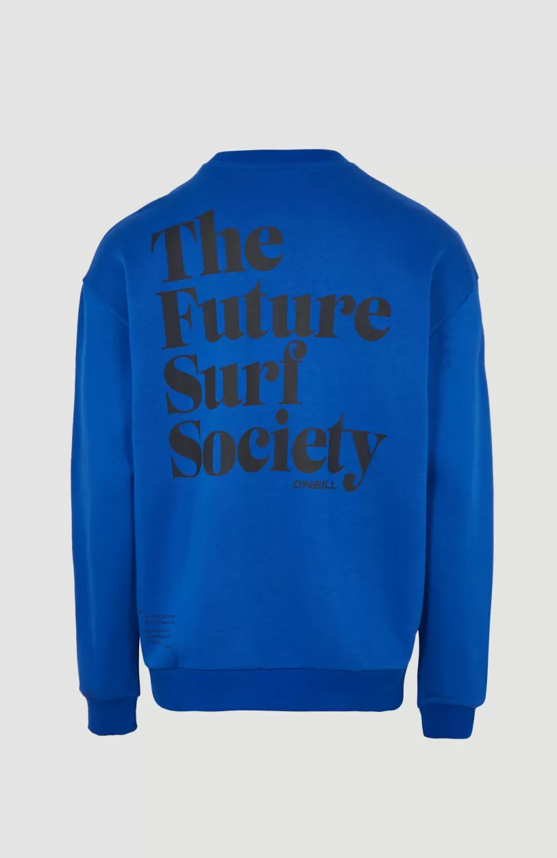 Outlet O’Neill Sweater Future Surf Society | Surf the web Blue