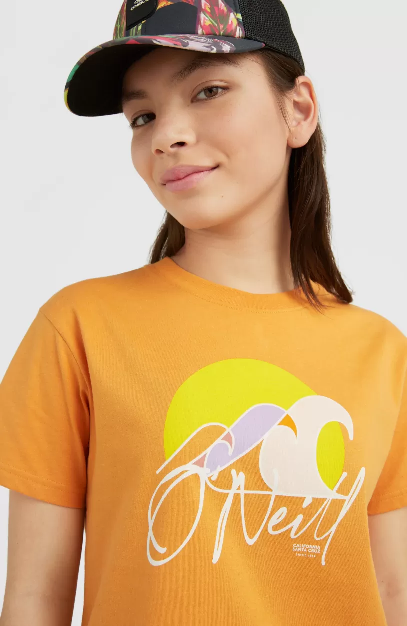 Online O’Neill T-shirt Addy Graphic | Nugget