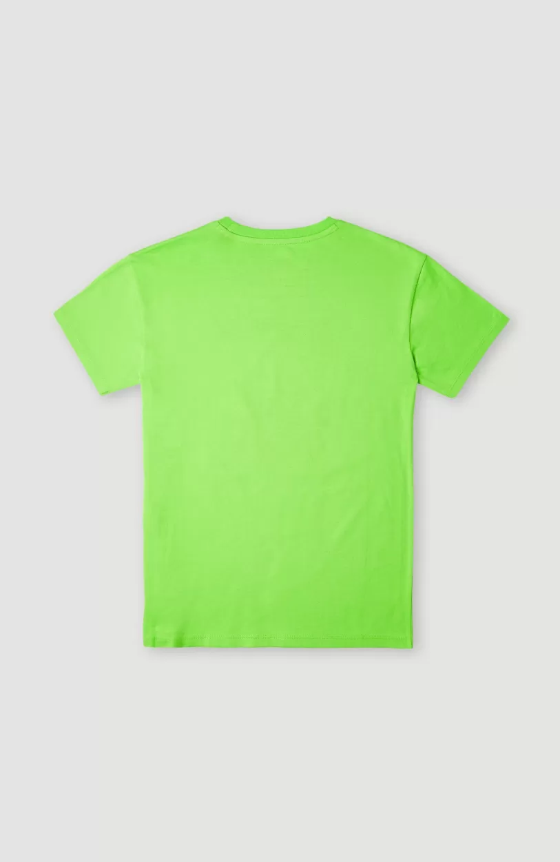 Shop O’Neill T-shirt Anders | Fluor Green