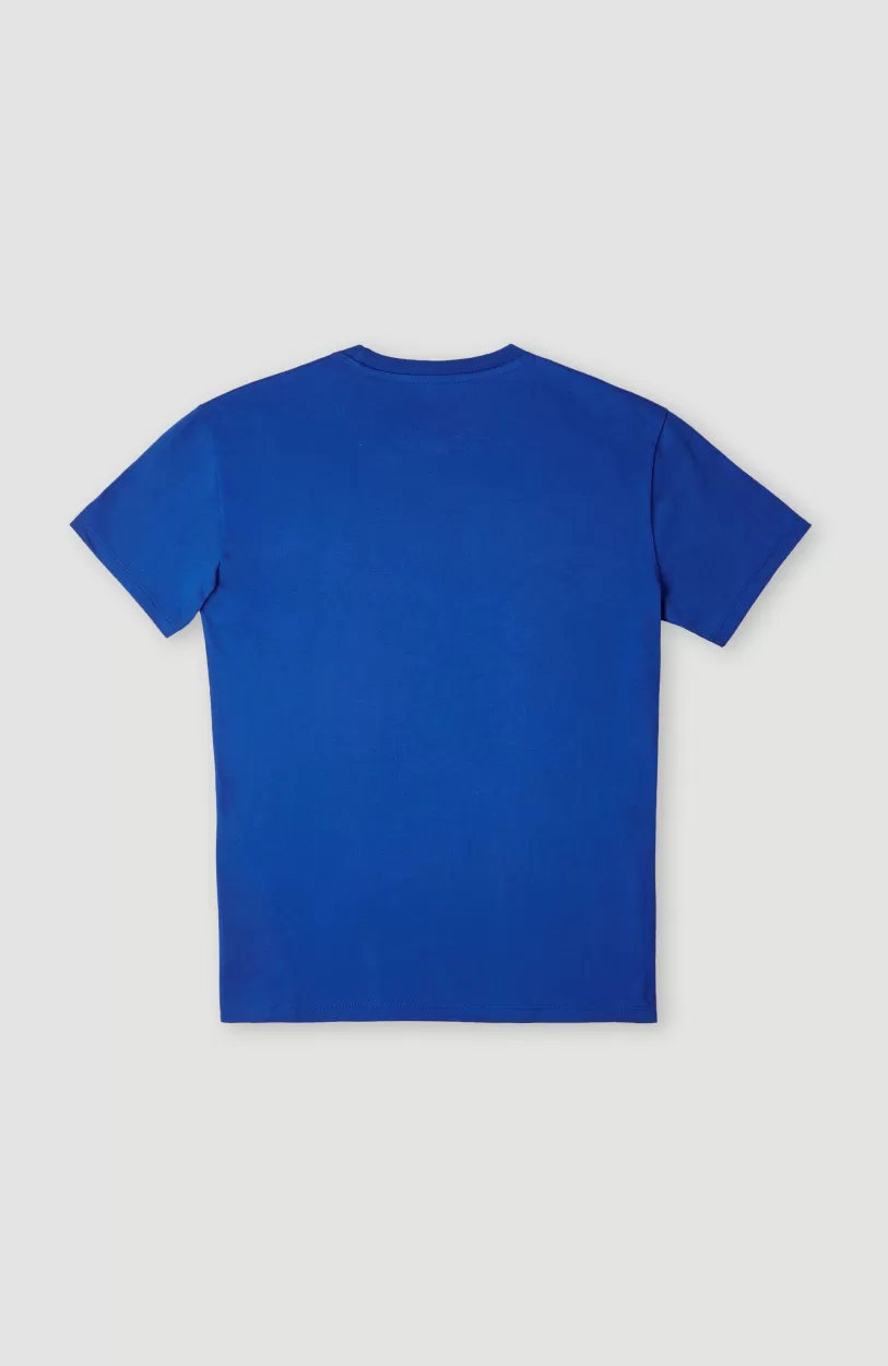 Sale O’Neill T-shirt Anders | Princess Blue