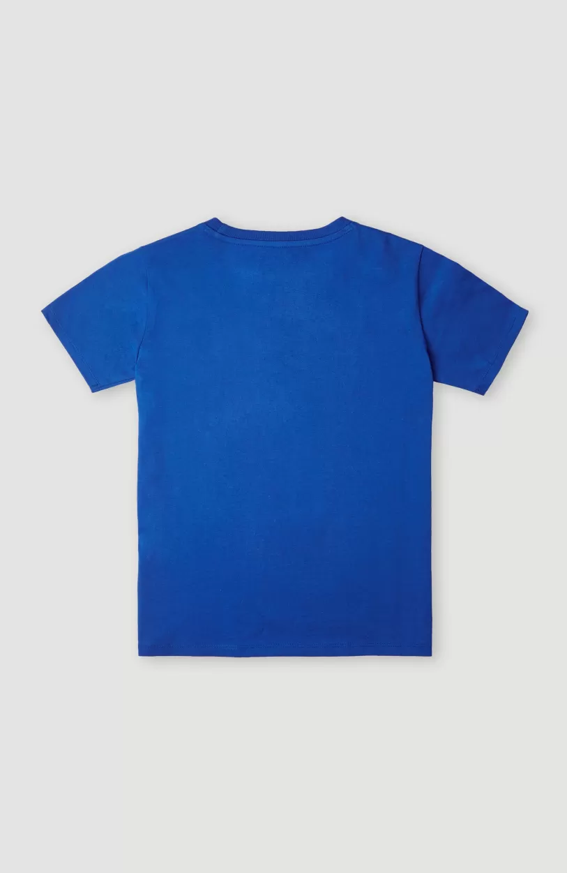 New O’Neill T-shirt Checker | Princess Blue