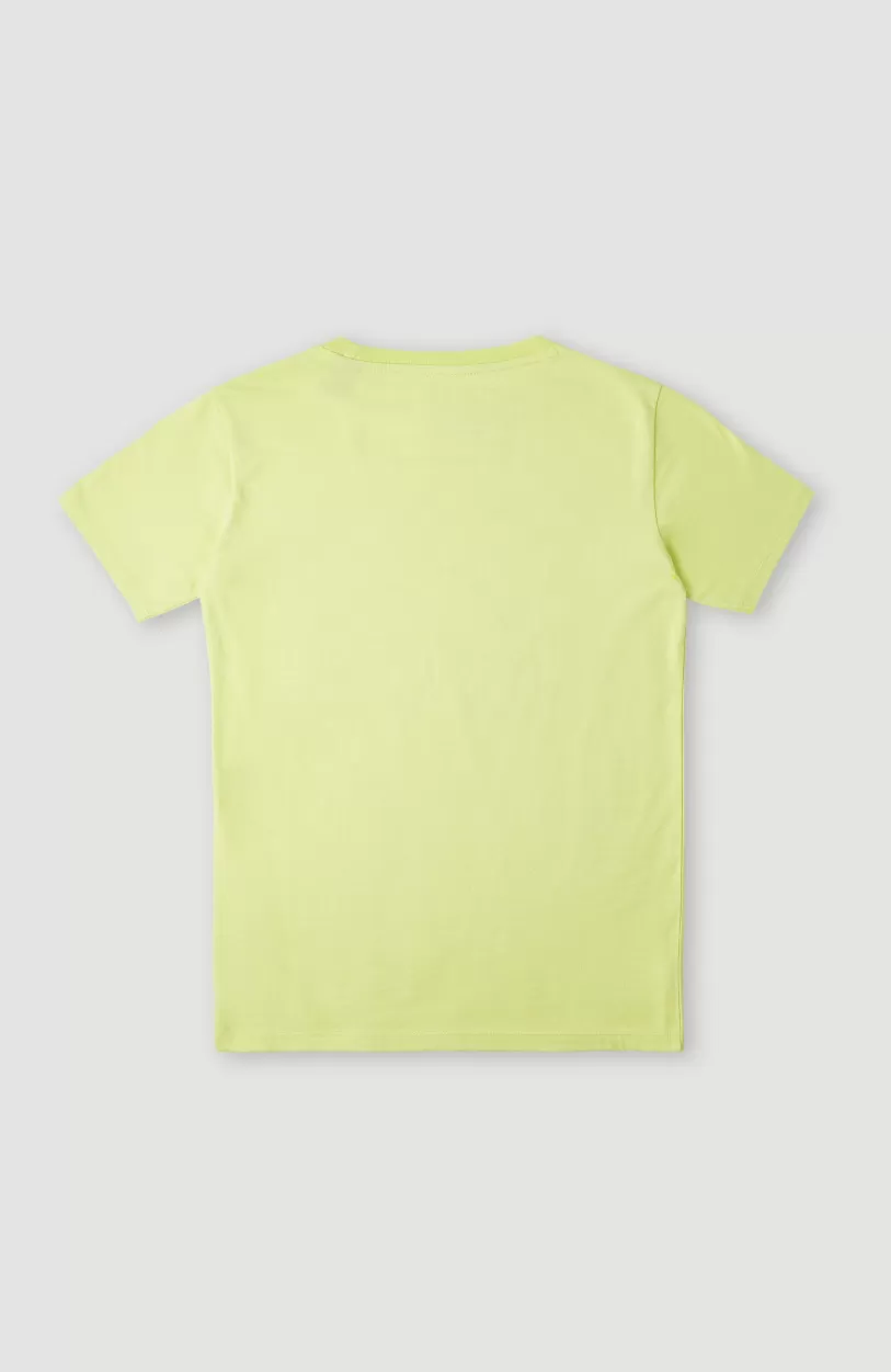 Online O’Neill T-shirt Checker | Sunny Lime