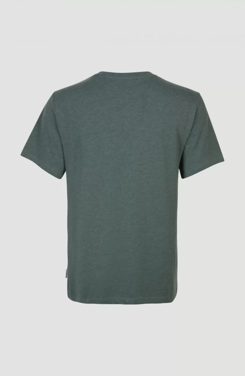 New O’Neill T-shirt Essentials Met V-hals | Balsam Green