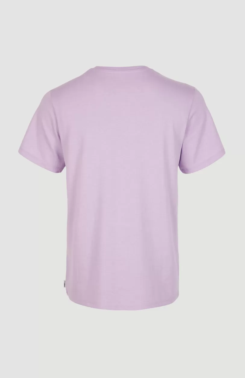 Best O’Neill T-shirt Essentials Met V-hals | Purple Rose