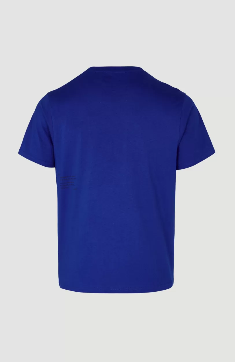 Flash Sale O’Neill T-shirt Future Surf Society | Surf the web Blue