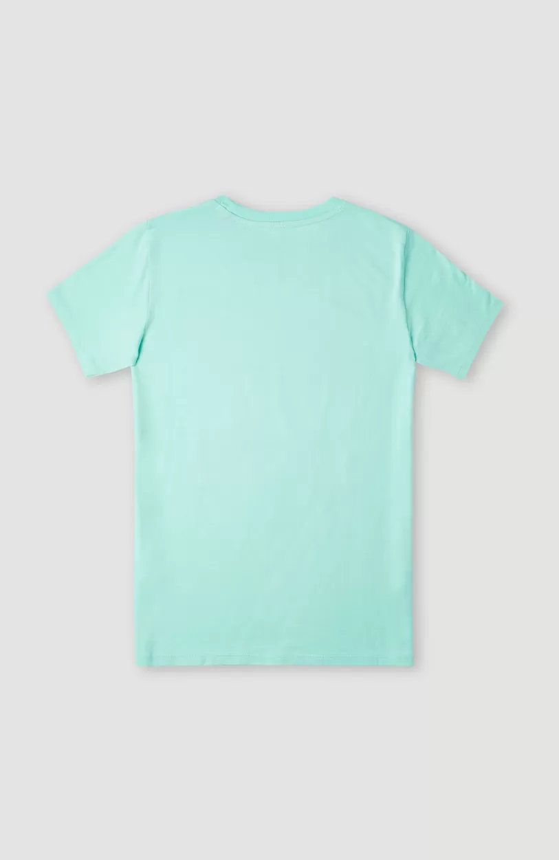 Fashion O’Neill T-shirt Loren | Beach Glass