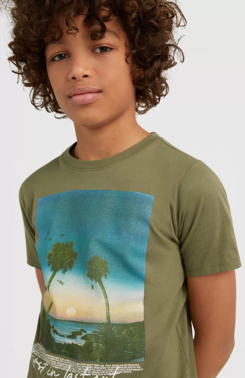 New O’Neill T-shirt Loren | Deep Lichen Green