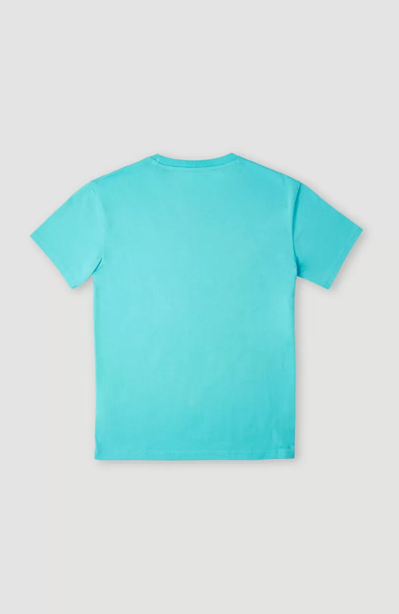 Shop O’Neill T-shirt Neon | Bachelor Button