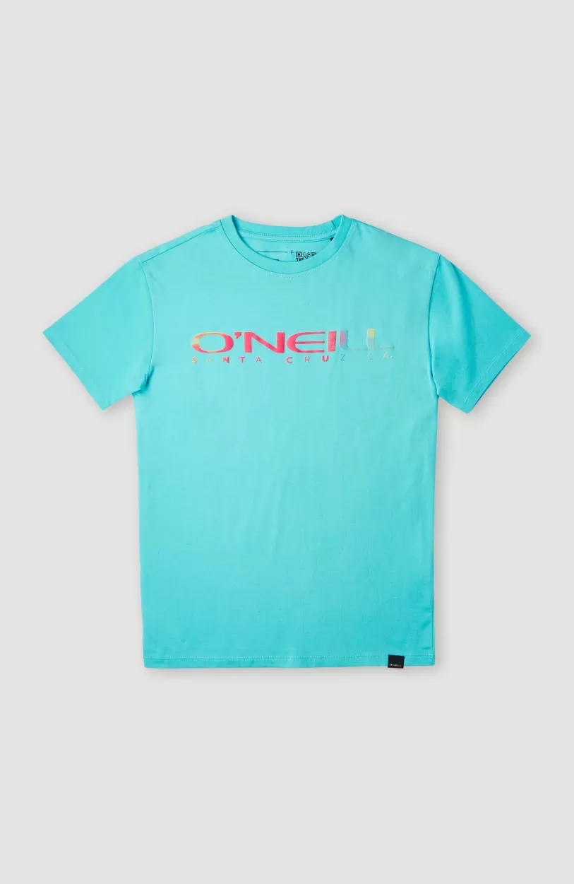 Best Sale O’Neill T-shirt Sanborn | Bachelor Button