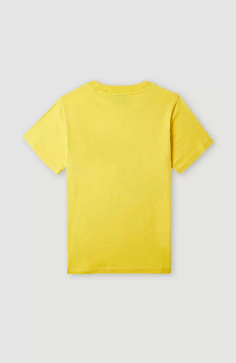 Best Sale O’Neill T-shirt Sefa Graphic | Dandelion