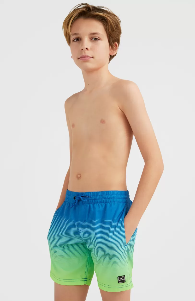 Hot O’Neill Zwemshort Cali Gradient 14'' | Dark Blue Simple Gradient