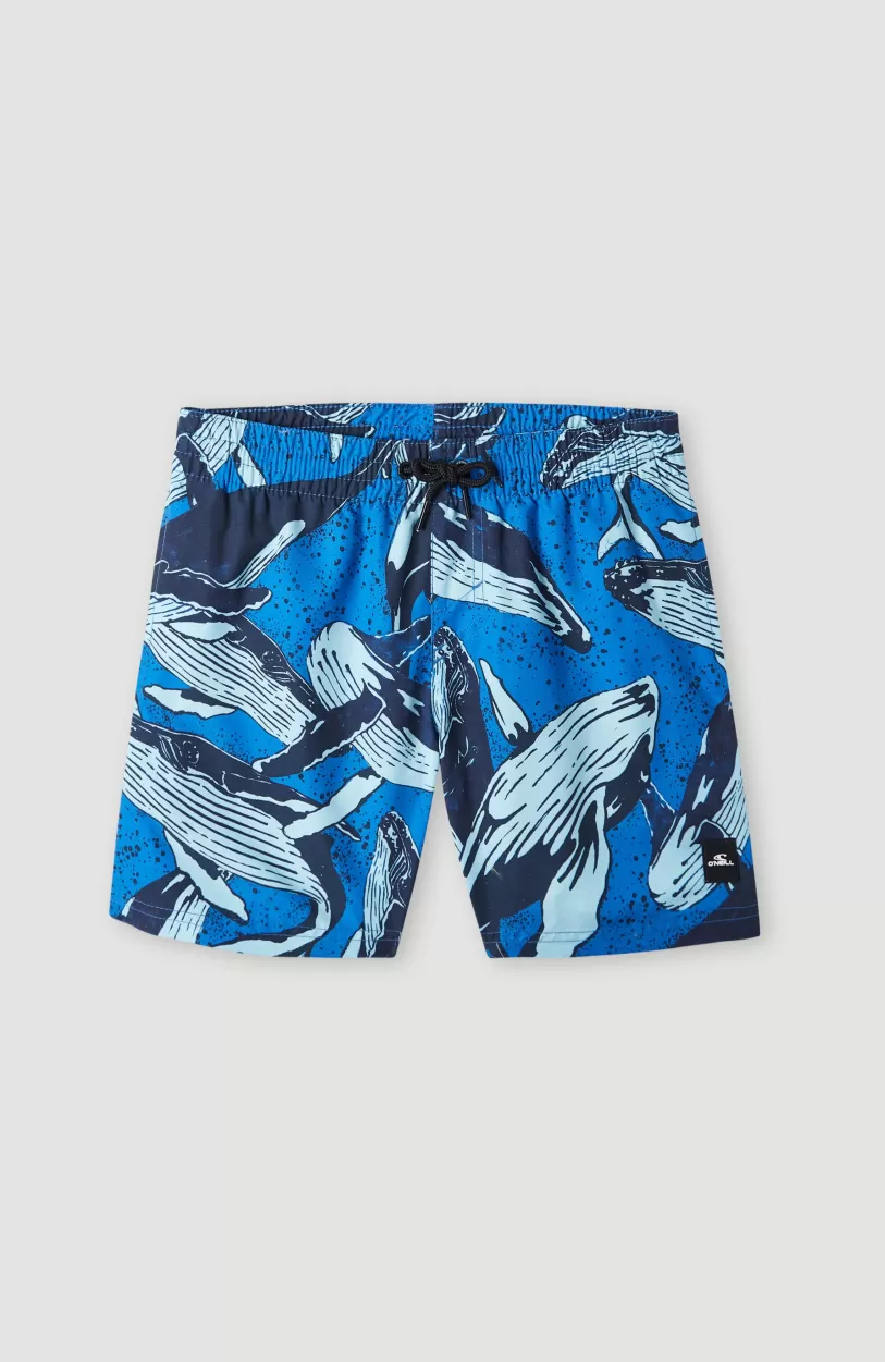 Fashion O’Neill Zwemshort Cali Print 13'' | Blue Whales