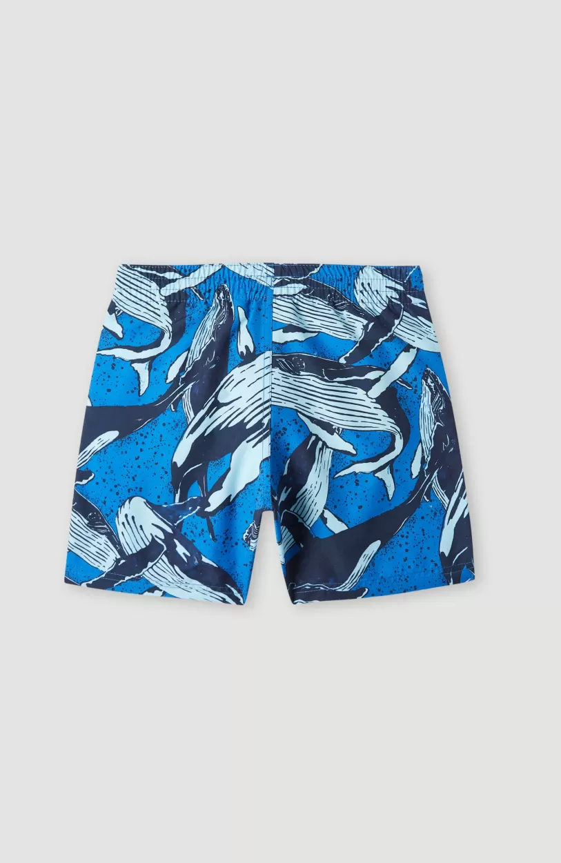 Fashion O’Neill Zwemshort Cali Print 13'' | Blue Whales