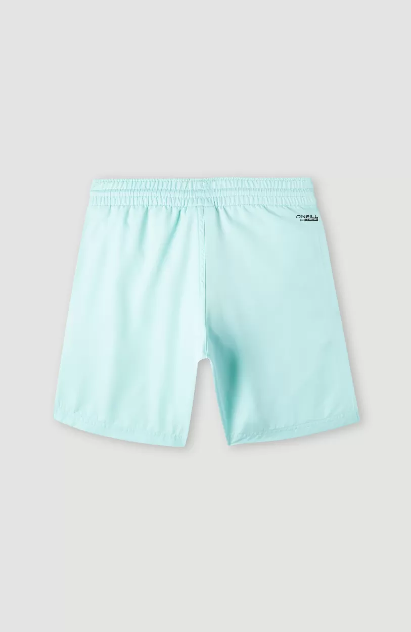 Fashion O’Neill Zwemshort Original Cali 14 | Beach Glass