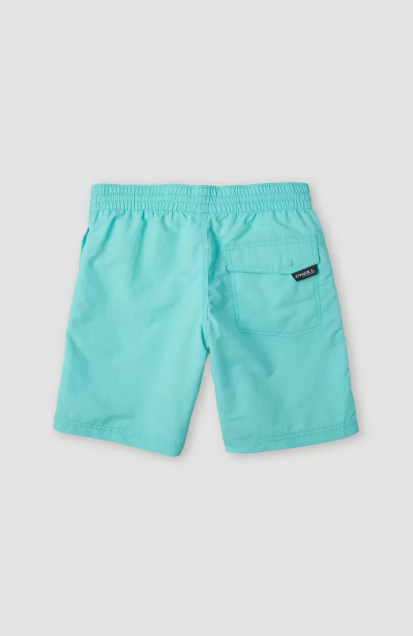 Discount O’Neill Zwemshort Vert 14 | Aqua Spalsh