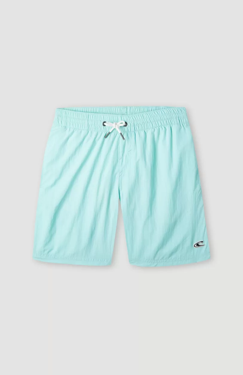 Fashion O’Neill Zwemshort Vert 14 | Beach Glass