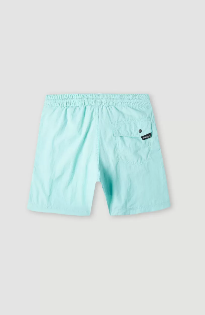 Fashion O’Neill Zwemshort Vert 14 | Beach Glass