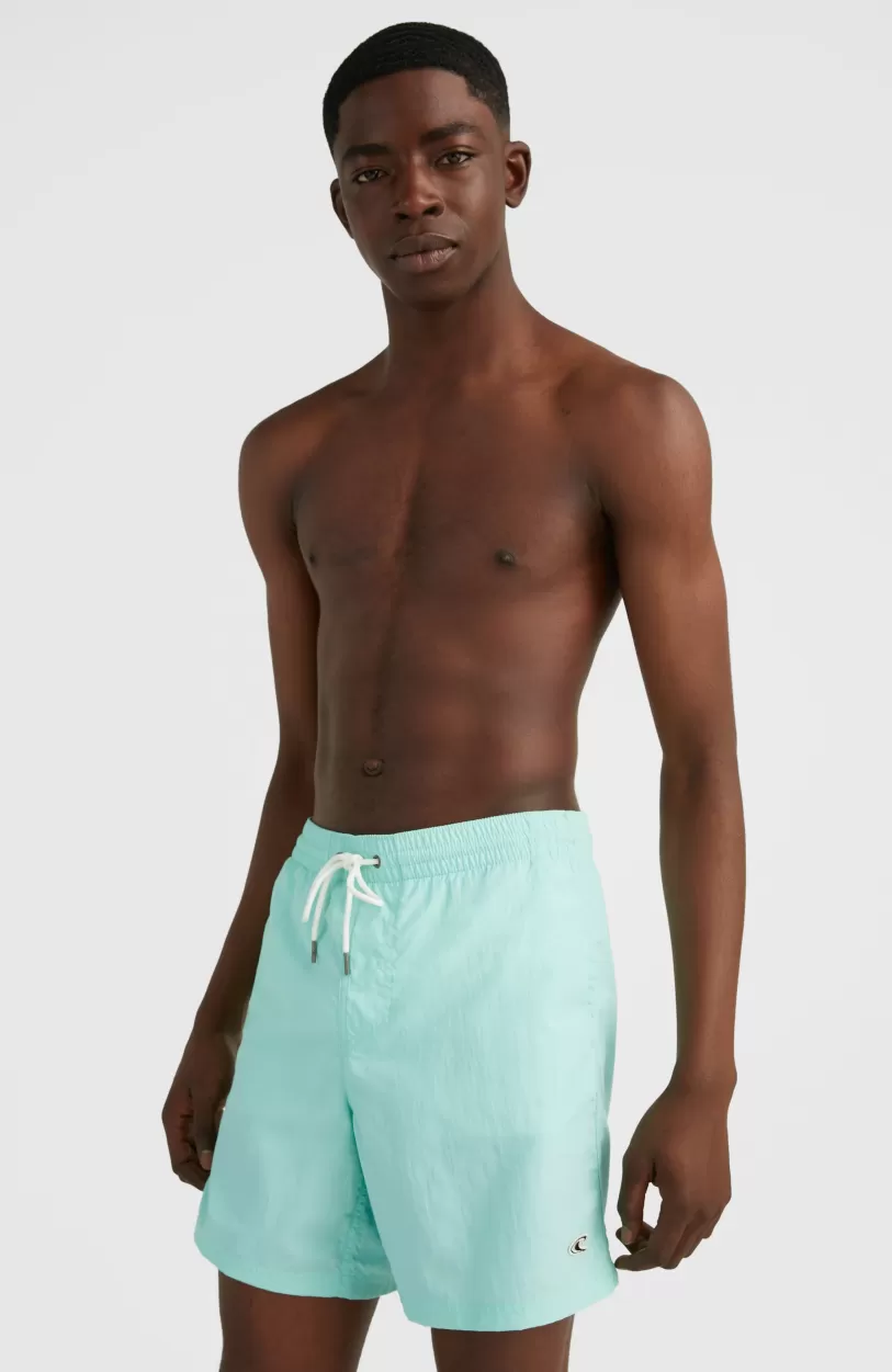 New O’Neill Zwemshort Vert 16'' | Beach Glass