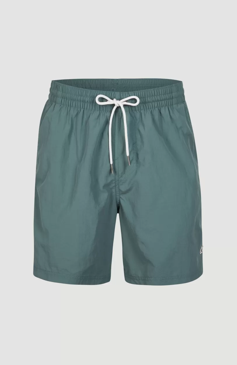 Fashion O’Neill Zwemshort Vert 16'' | North Atlantic