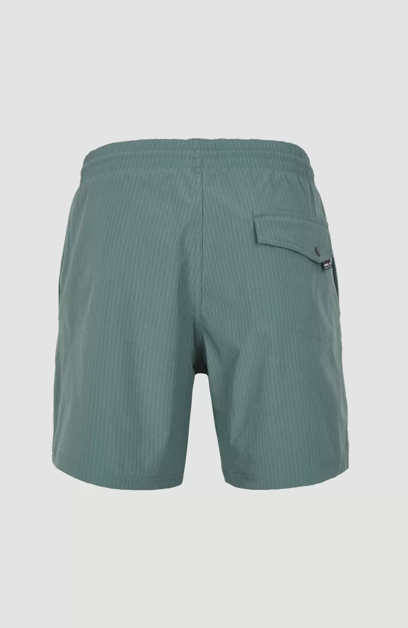 New O’Neill Zwemshort Vert Camorro 16'' | North Atlantic